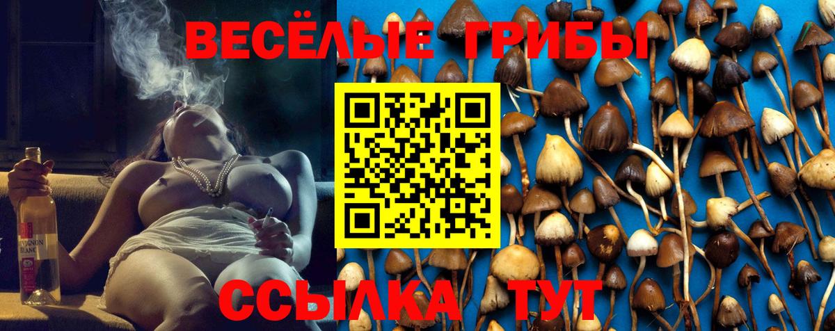 АМФ кристаллы  Вход с VPN  Меф   Экстази  Выкса  А ПВП СОЛЬ кристаллы  НБОМе  ГАШ  Codein  Каннабис 