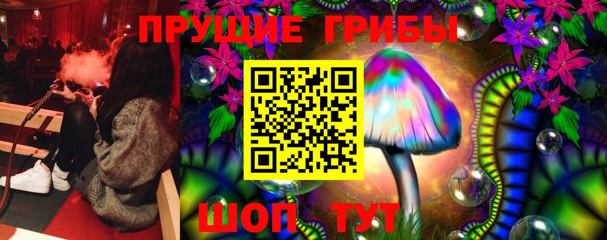 закладки  Вход с VPN  Выкса  Псилоцибиновые грибы Psilocybe 