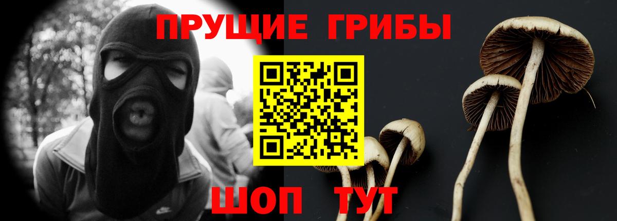 Псилоцибиновые грибы Psilocybe Выкса